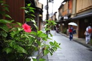 Feel the true Kyoto in narrow alley and Gion district